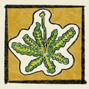 Foraging mustard greens on Mars