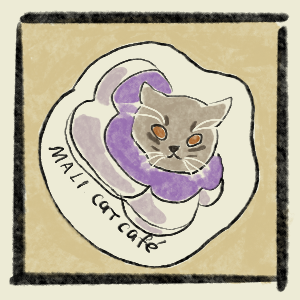 Cat Cafe in Nimman