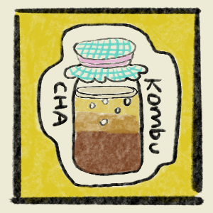 Making coffee kombucha