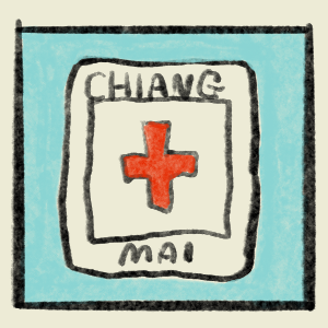 Care at the Chiang Mai hospital